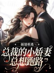 夏空棠沈云墨