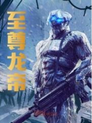 至尊龙帝陆鸣无弹窗