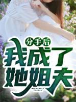 江辰陆晓柔